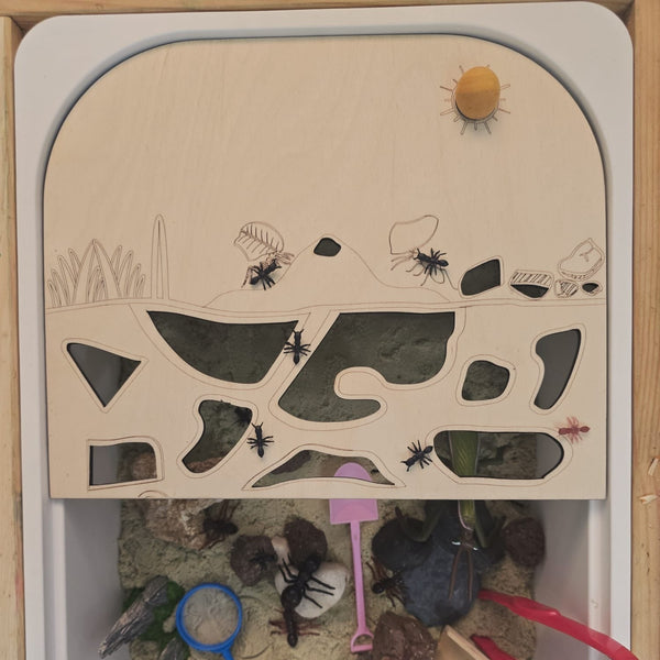 لوح أنفاق ومسارات النمل