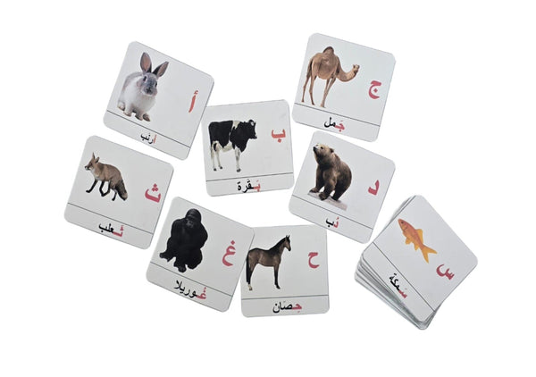 بطاقات الحروف الابجدية