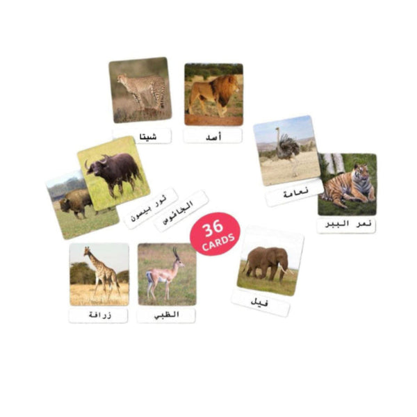 بطاقات حيوانات السفاري