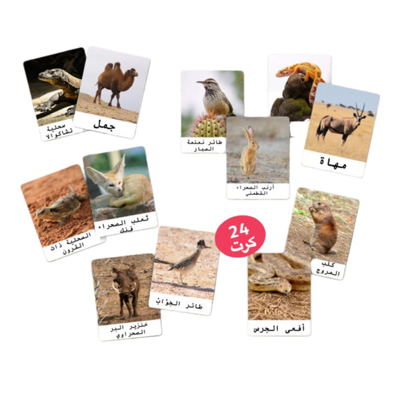 بطاقات حيوانات الصحراء