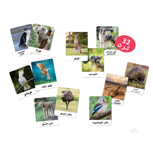 بطاقات حيوانات أستراليا