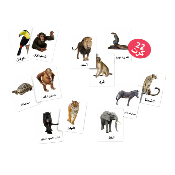 بطاقات حيونات الغابة ٢