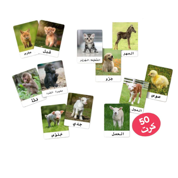 بطاقات أسماء أطفال الحيوانات