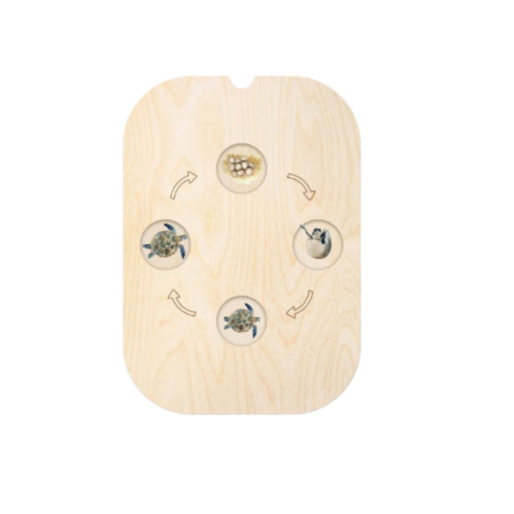 لعبة تعلم دورة حياة الحيوانات الخشبية مع صور دوارة للحيوانات ومراحل حياتها