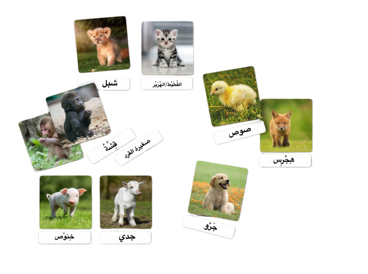 بطاقات فلاش حيوانات من Little Artist تحتوي على حيوانات صغيرة مثل القطط الجراء والبطات.