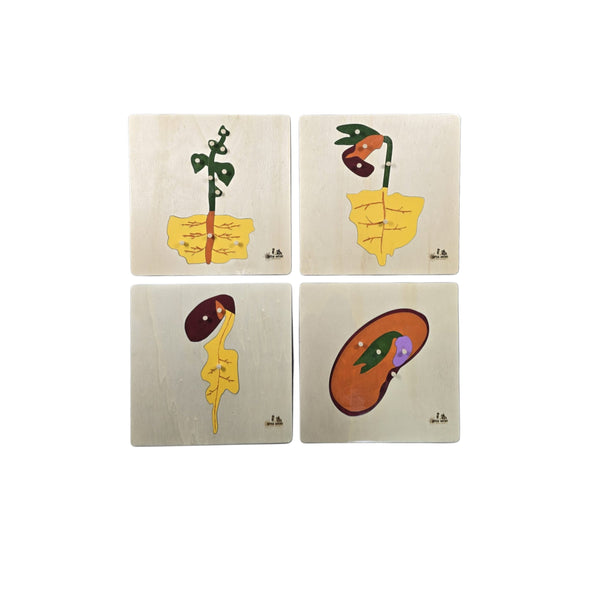 أحجية نباتية للأطفال من LITTLE ARTIST تحتوي على أربع قطع خشبية ملونة لنباتات