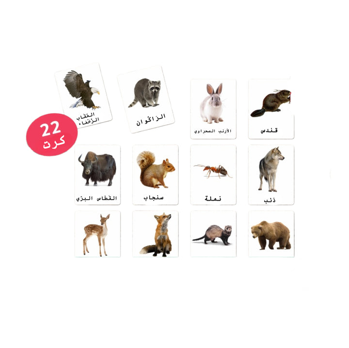 مجموعة بطاقات أدوات الحواس للأطفال من LITTLE ARTIST تحتوي على حيوانات متنوعة للتعلم التفاعلي.