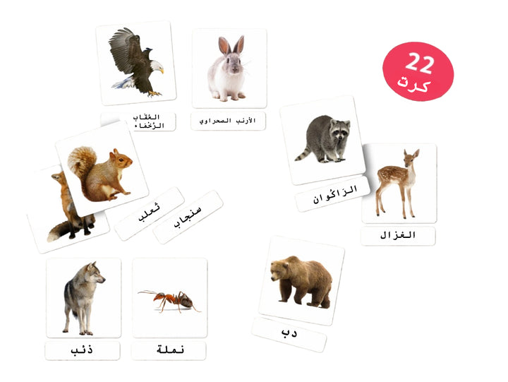 أدوات الحواس للأطفال من LITTLE ARTIST تحتوي على بطاقات حيوانات تشمل الدب والغزال والمزيد للتعلم التفاعلي.