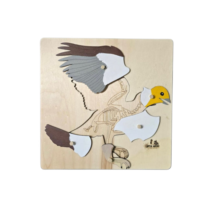 لعبة أحجية تشريحية لطائر خشبية للأطفال الصغار، مثالية كألعاب تعليمية للأطفال