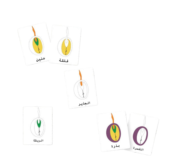 طقم أنشطة ممتعة للأطفال من LITTLE ARTIST يحتوي على بطاقات فلاش تعليمية ملونة للتعلم.