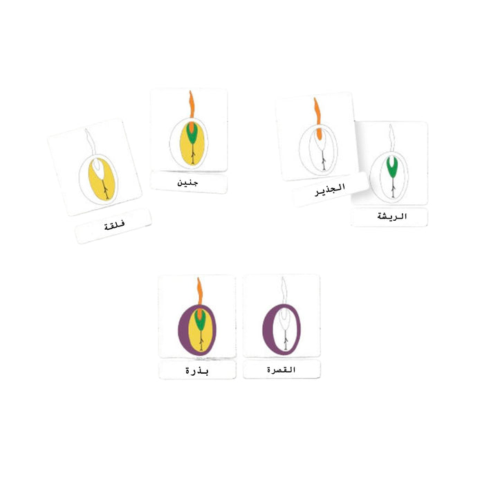 بطاقات فلاش تعليمية للأطفال تحتوي على أطقم أنشطة ممتعة، تعزز التعلم والإبداع.
