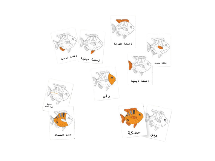 أدوات تعلم الحواس للأطفال من LITTLE ARTIST تحتوي على بطاقات فلاش مع رسومات ملونة للأسماك للعب التعليمي.
