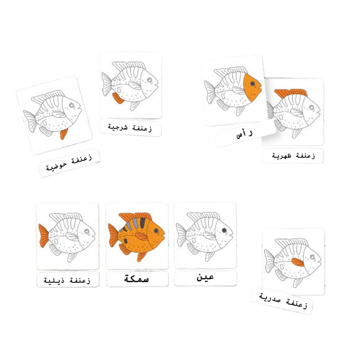 أدوات تعلم الحواس للأطفال تحتوي على بطاقات فلاش مع رسومات ملونة للأسماك للتعلم التفاعلي.