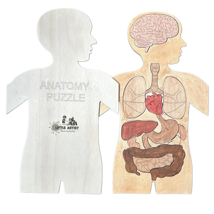 لعبة ألغاز تشريحية من Little Artist للأطفال، تحتوي على رسومات تفصيلية لأعضاء الجسم على قطع خشبية
