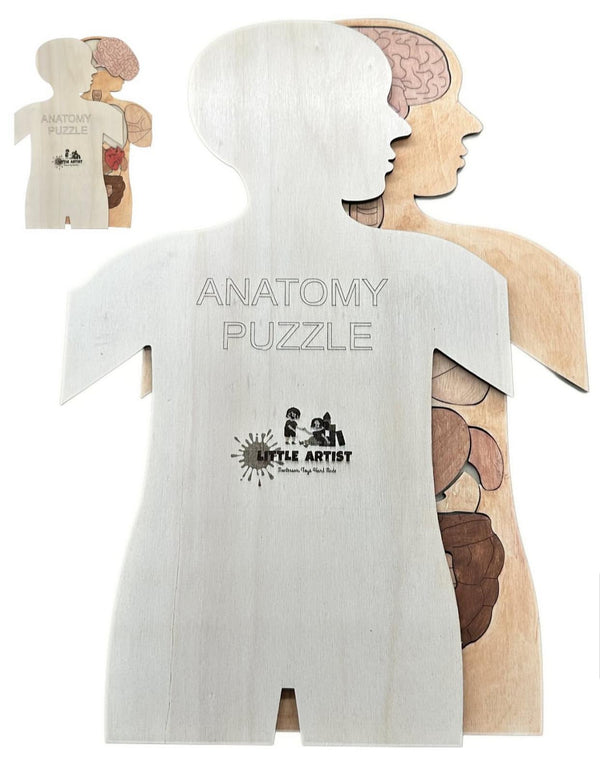 لعبة ألغاز تشريحية من LITTLE ARTIST تعرض أجزاء جسم الإنسان للعب التعليمي
