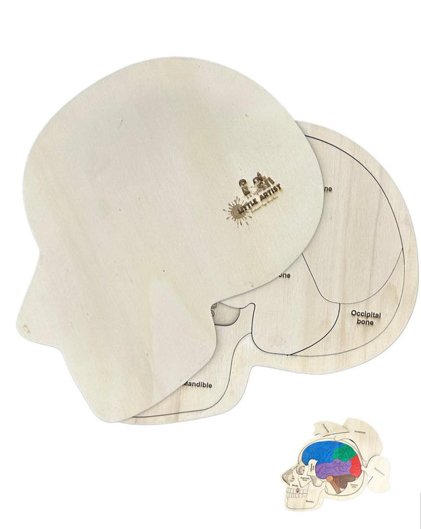 لعبة ألغاز تعليمية من LITTLE ARTIST لتعلم تشريح الجمجمة مصنوعة من الخشب، مع جزء قابل للإزالة للدماغ للأطفال