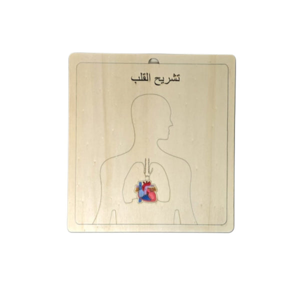لعبة ألغاز التشريح التعليمية بطريقة مونتيسوري مصنوعة من الخشب، تحتوي على القلب والرئتين للتعلم العملي.
