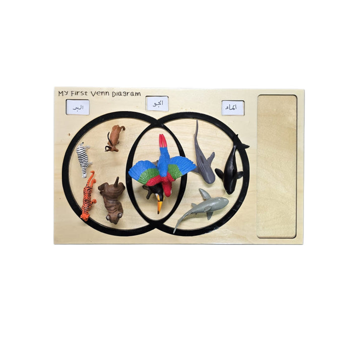 لِيتِل أَرْتِسْتْ لعبتي الأولى "مخطط فين" مع أشكال حيوانات ملوّنة للتعلّم المبكر.