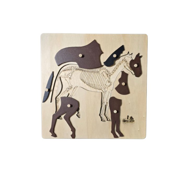 لعبة ألغاز تشريحية لحصان خشبي من Little Artist للتعلم التعليمي، تحتوي على قطع عظام قابلة للإزالة
