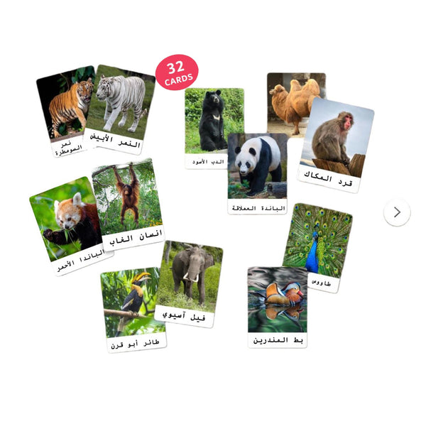 بطاقات تعلم حواس الحيوانات من LITTLE ARTIST تحتوي على 32 حيوانًا متنوعًا للعب التعليمي.